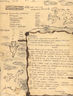 Wer kommt aus dem hohen Norden? 401413